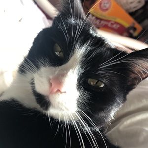 Meet your Posher, Angelina